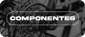 Componentes