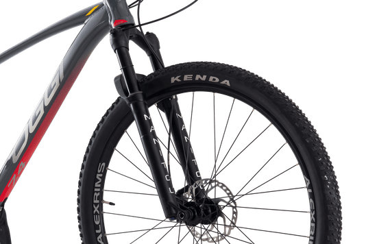 Bicicleta Aro 29 Oggi 7.4 12v Grafite/Vermelha/Cinza T17