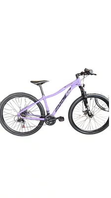 BICI ARO 29 EVOLO 21V T15 LILAS/PRETO