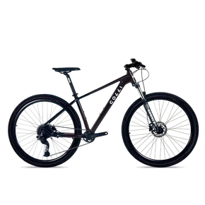 Bicicleta Colli Valencia Aro 29 2026 Preto/Marrom Metalico Shimano Cues 1X10 Tamanho M